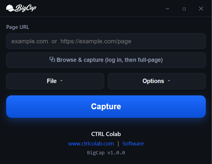 The BigCap app window: enter a URL, pick options, click Capture