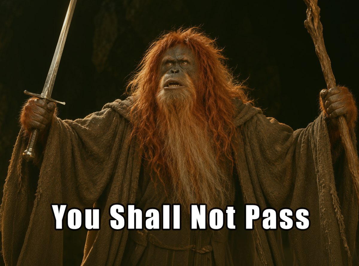 A robed orangutan wizard with a sword in one hand and a staff in the other, captioned You Shall Not Pass.